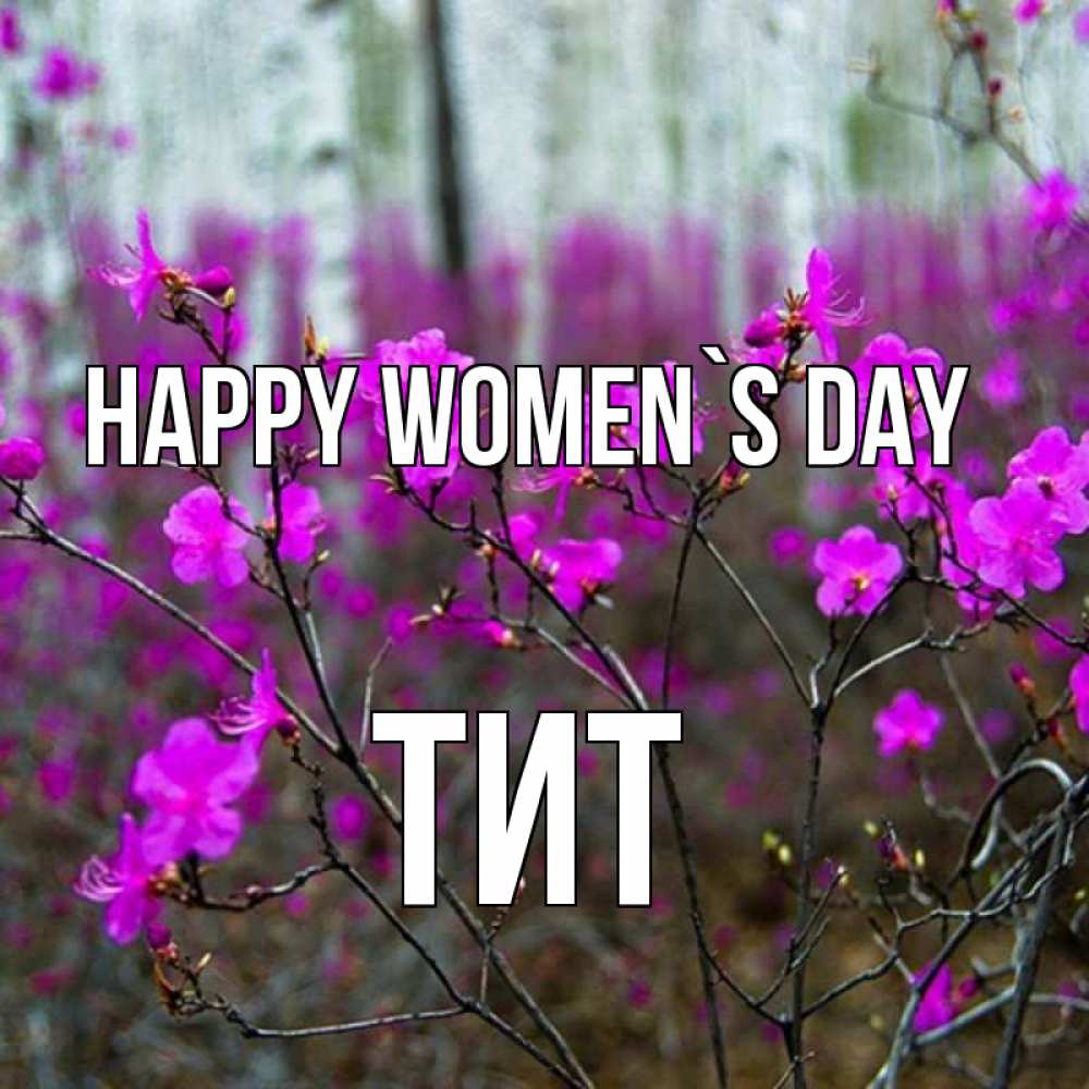 Greetings card с именем, Тит happy women`s day дикие цветы Greetings with text for free download 